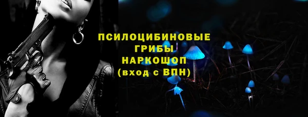 дмт Магас
