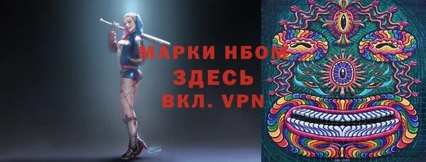 мдпв Ладушкин