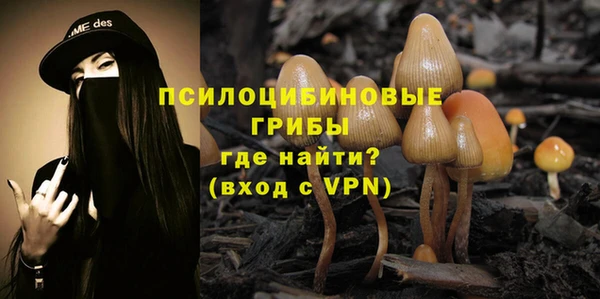 дмт Липки