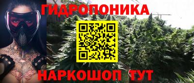 PSILOCYBIN Дубна