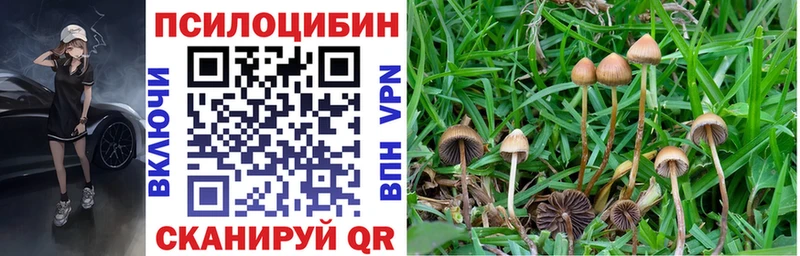 Галлюциногенные грибы ЛСД  Усинск 