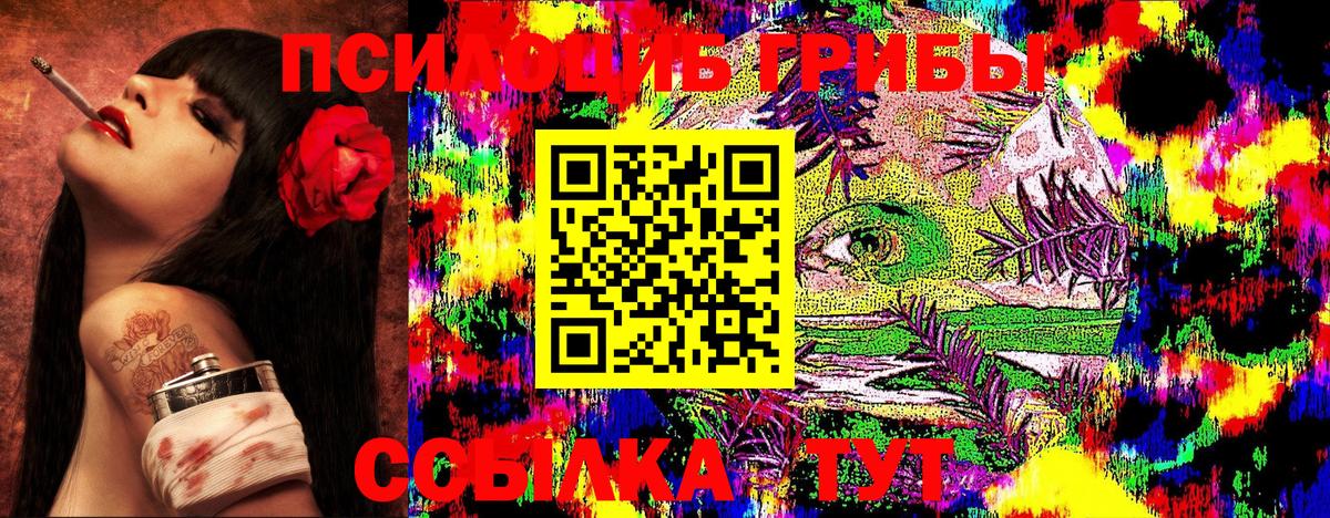 Усинск  Псилоцибиновые грибы Cubensis  Вход с VPN 