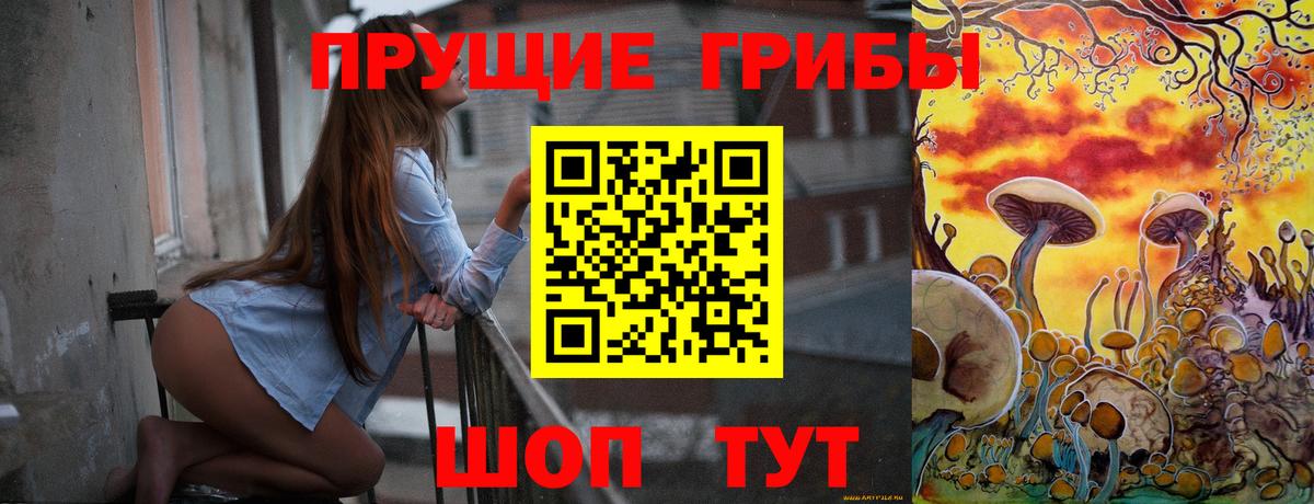 Галлюциногенные грибы Psilocybe Усинск